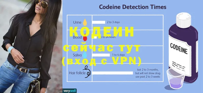 MEGA   как найти наркотики  Пошехонье  Codein напиток Lean (лин) 