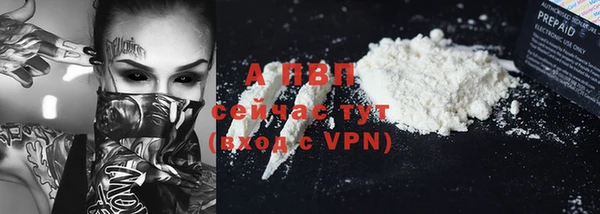 дмт Нея