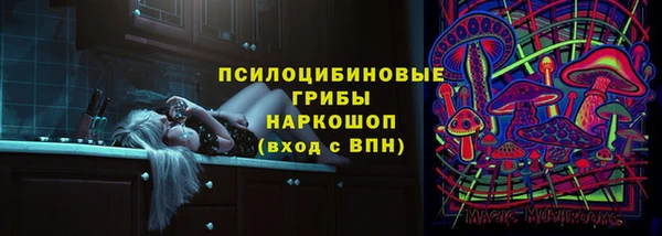 дмт Нея