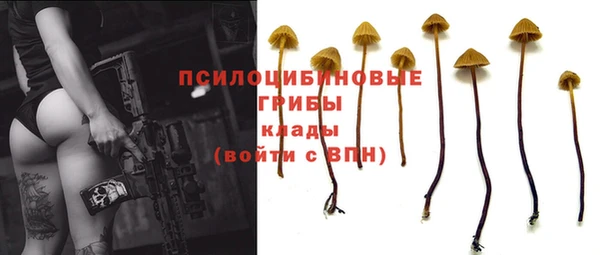 дмт Нея