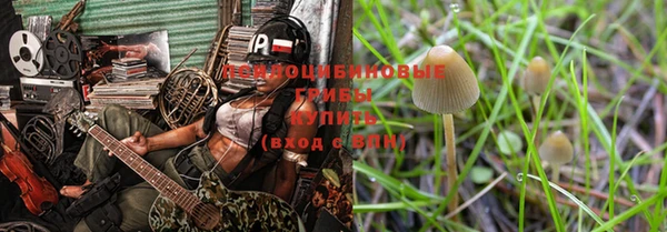 дмт Нея