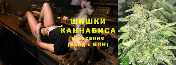 каннабис Новозыбков