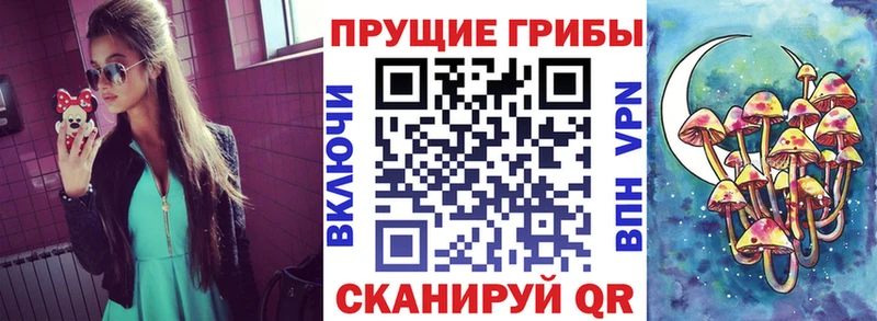 Псилоцибиновые грибы мухоморы  Пошехонье 